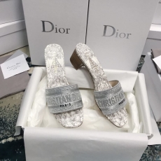 Christian Dior Slippers